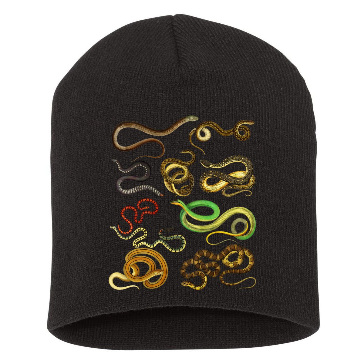 Educational Types Of Snake Gift Short Acrylic Beanie