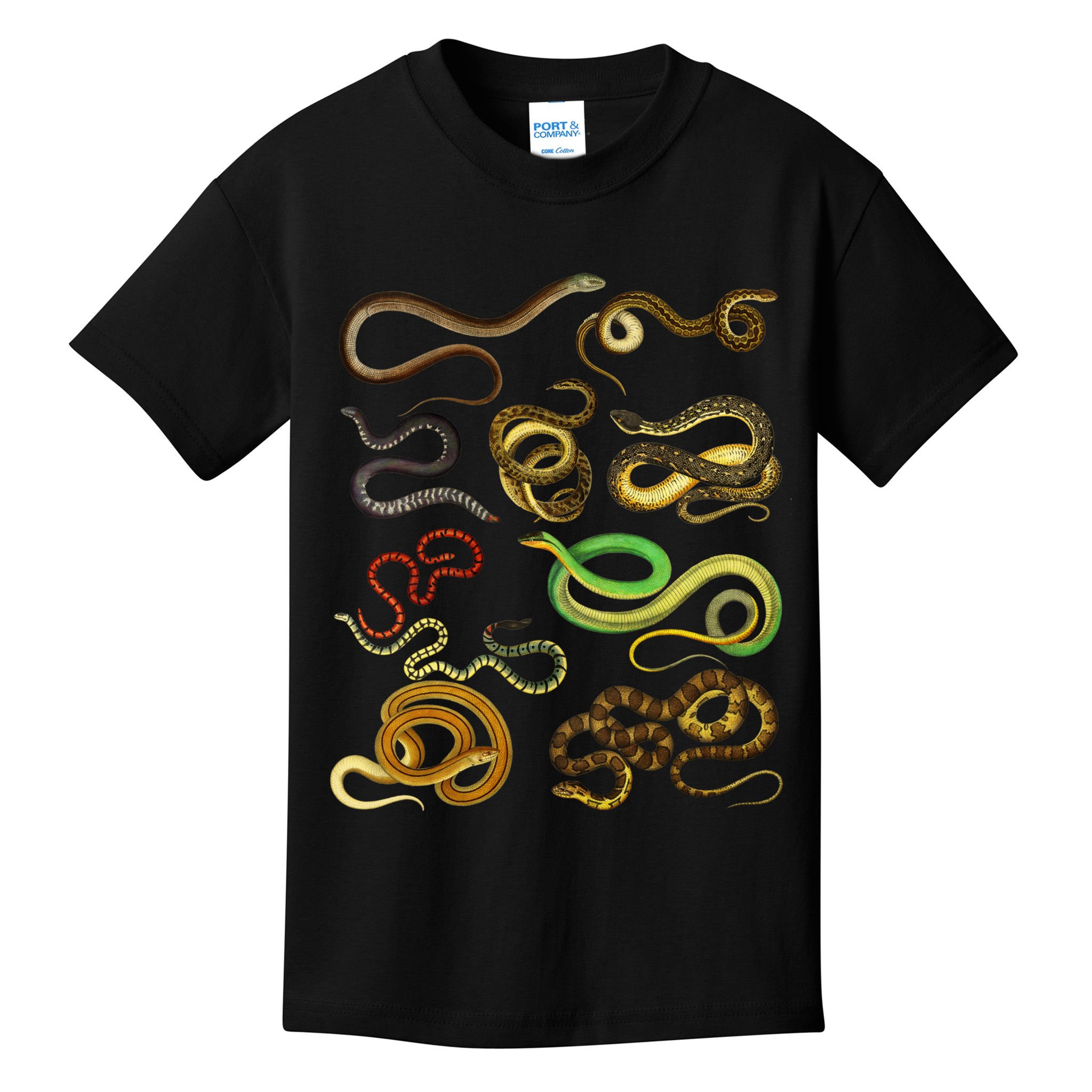 Educational Types Of Snake Gift Kids T-Shirt