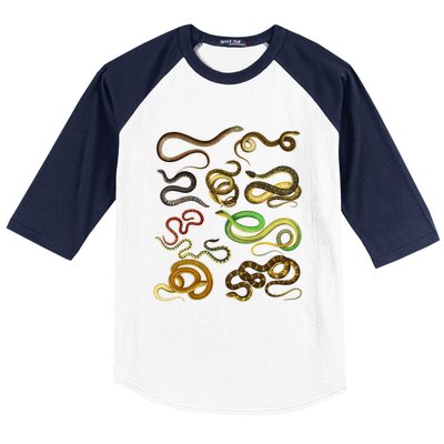 Educational Types Of Snake Gift Baseball Sleeve Shirt