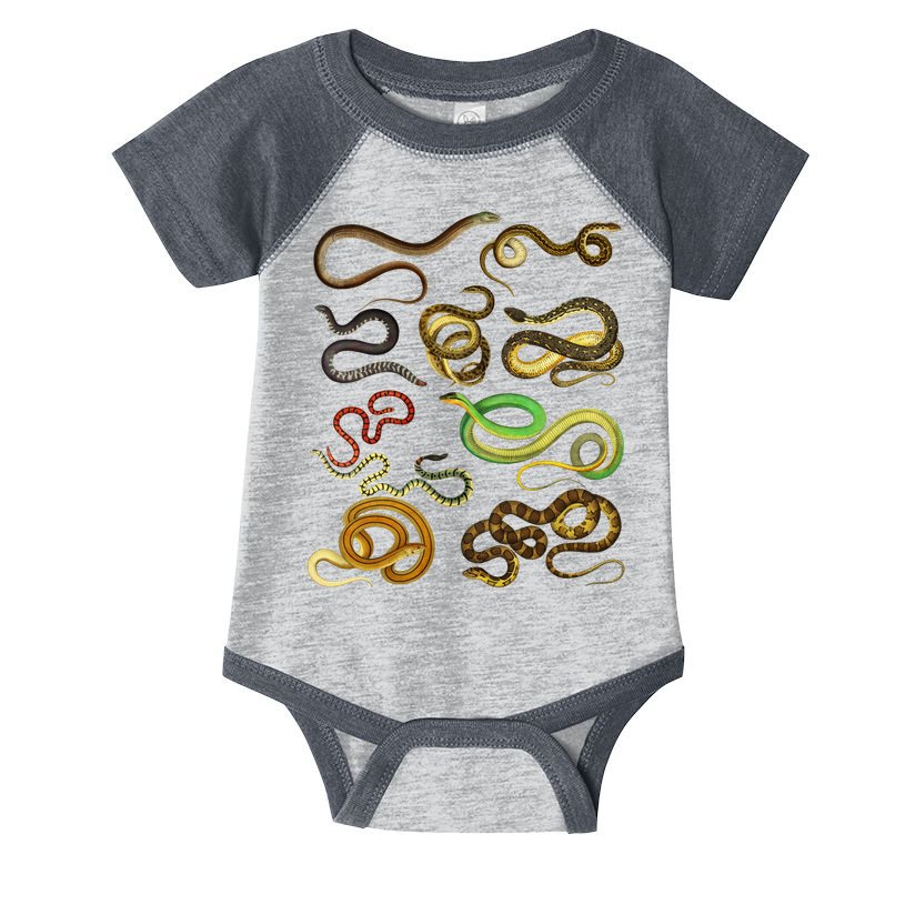 Educational Types Of Snake Gift Infant Baby Jersey Bodysuit
