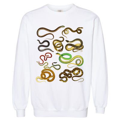 Educational Types Of Snake Gift Garment-Dyed Sweatshirt