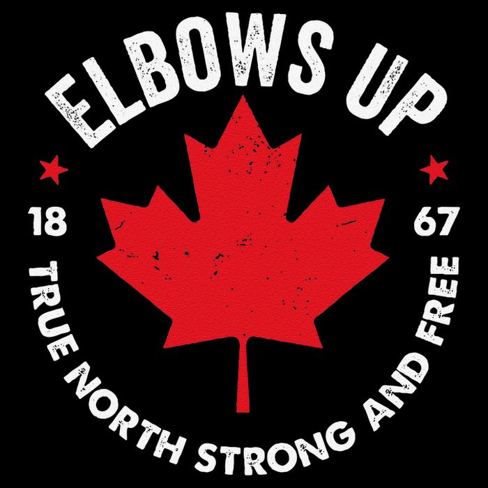 Elbows Up Canada Est 1867 Proud Canadian Strong Canada Gifts Gift Premium T-Shirt