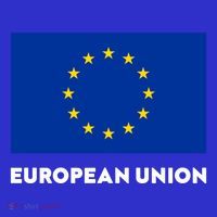 European Union Flag Blue Yellow Gift 16 in Basic Backpack