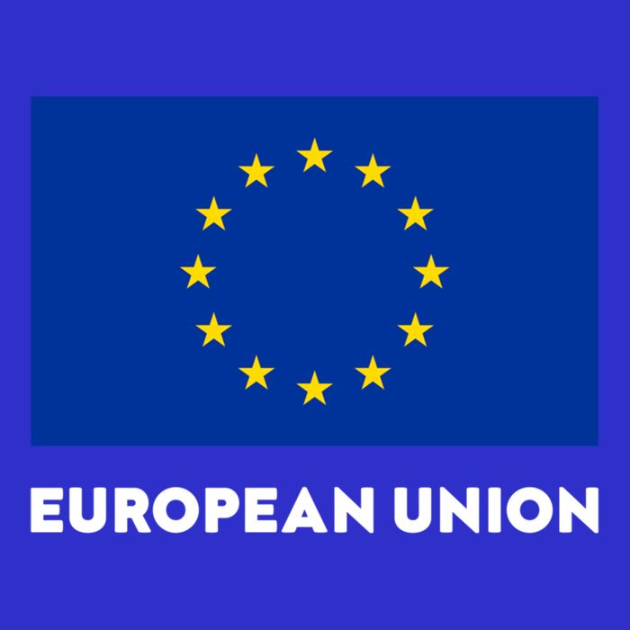 European Union Flag Blue Yellow Gift Zip Tote Bag