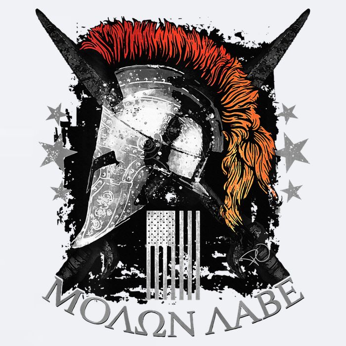 Epic Usa Molon Labe Come And Take Them Spartan 2nd Amendment Sueded Cloud Jersey T-Shirt