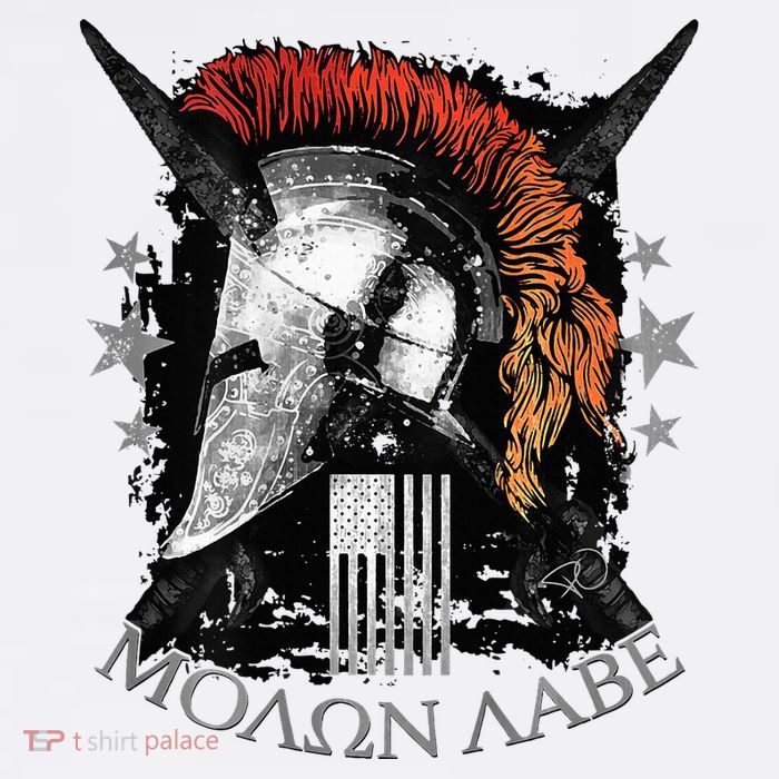 Epic Usa Molon Labe Come And Take Them Spartan 2nd Amendment T-Shirt