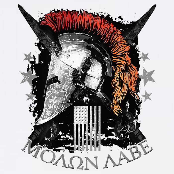 Epic Usa Molon Labe Come And Take Them Spartan 2nd Amendment Youth Performance Sprint T-Shirt