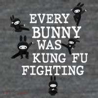 Every Bunny Was Kung Fu Fighting Women's V-Neck T-Shirt