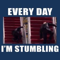 Every Day I'm stumbling Funny Biden Toddler T-Shirt