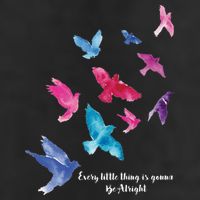 Every Little Thing Is Gonna Be Alright Adult Drive Performance Visor