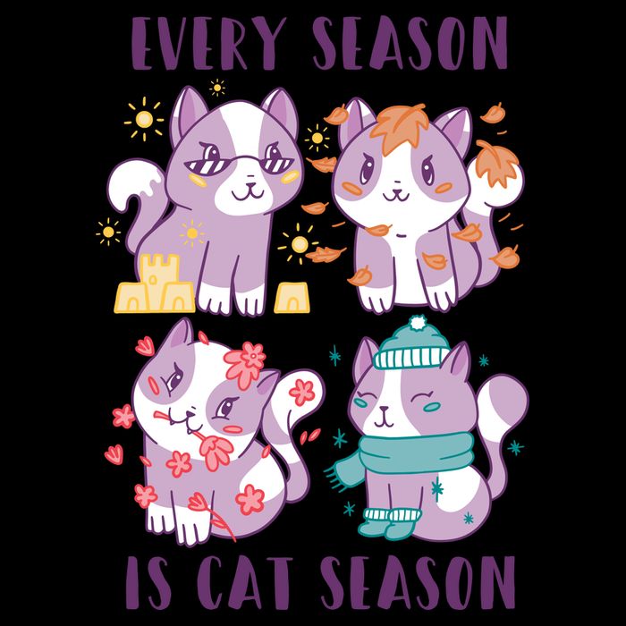 Every Season Is Cat Season Mug