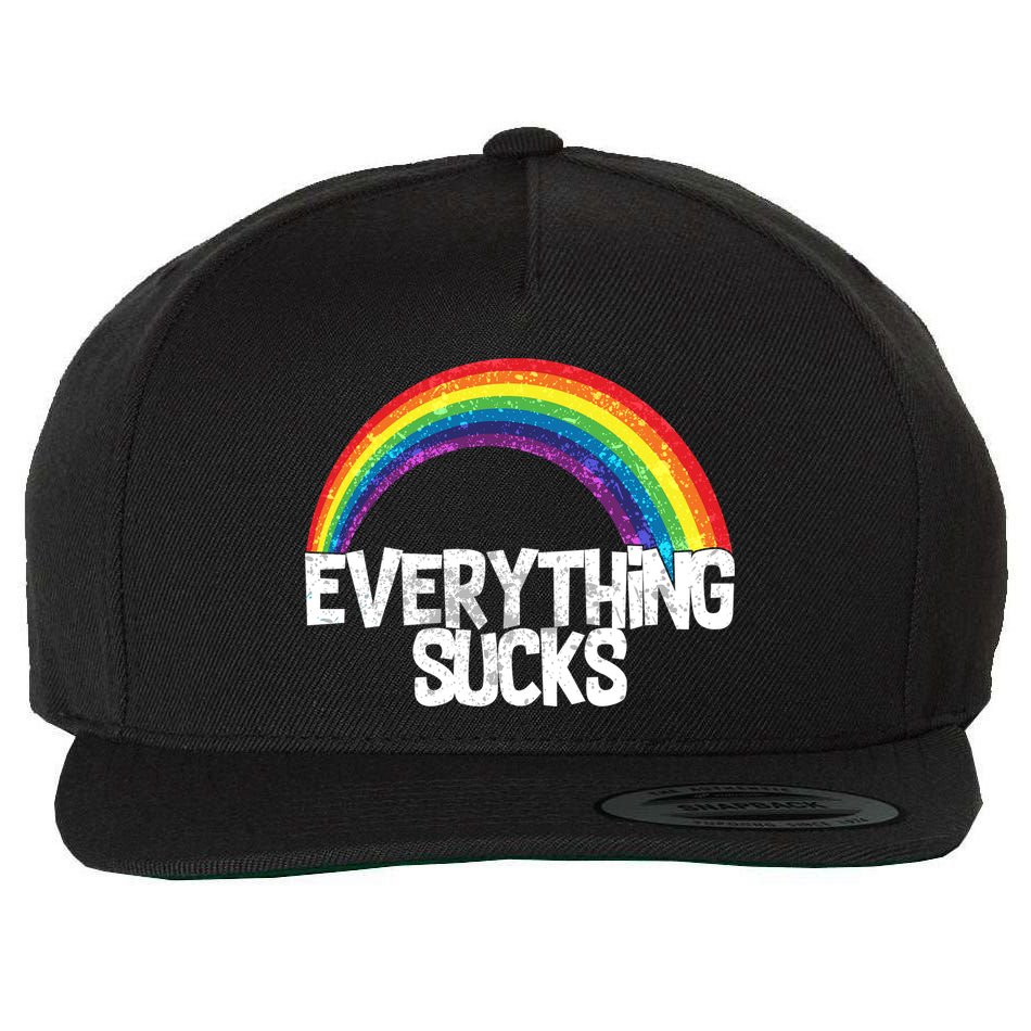 Everything Sucks Rainbow Wool Snapback Cap