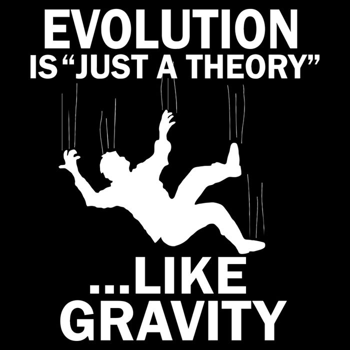 Evolution Is Just A Theory Like Gravity Bucket Hat