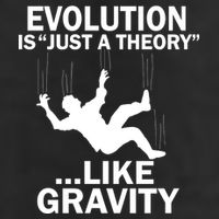 Evolution Is Just A Theory Like Gravity Trucker Hat