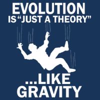 Evolution Is Just A Theory Like Gravity Infant Baby Jersey Bodysuit