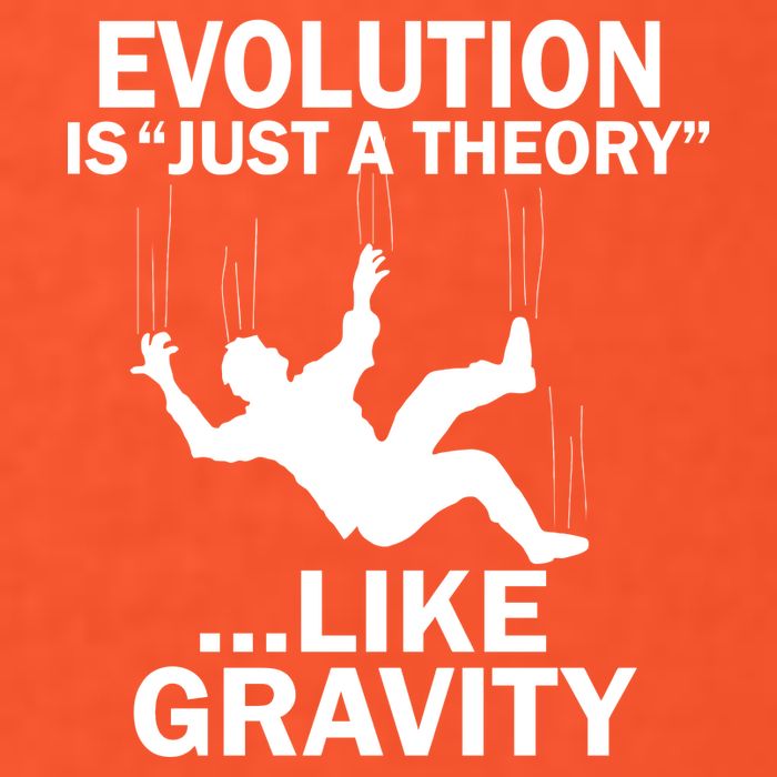 Evolution Is Just A Theory Like Gravity Mousepad
