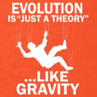 Evolution Is Just A Theory Like Gravity Premium T-Shirt