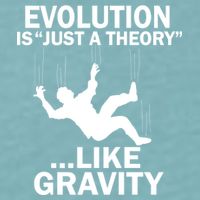 Evolution Is Just A Theory Like Gravity Sueded Cloud Jersey T-Shirt