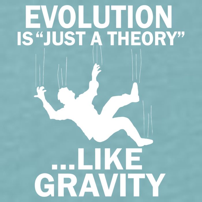 Evolution Is Just A Theory Like Gravity Sueded Cloud Jersey T-Shirt