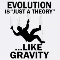 Evolution Is Just A Theory Like Gravity Garment-Dyed Sweatshirt