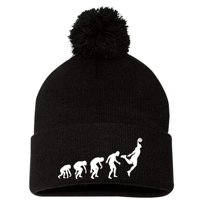 Evolution of a Hooper Basetball Player Design Pom Pom 12in Knit Beanie