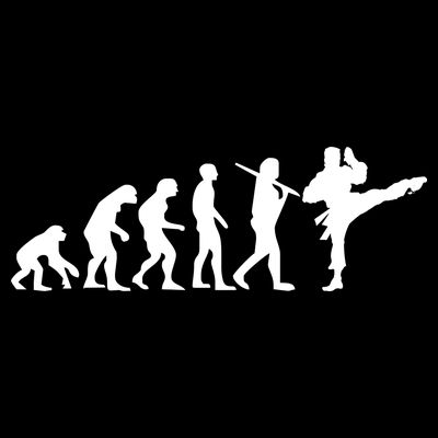 Evolution of Karate T-Shirt