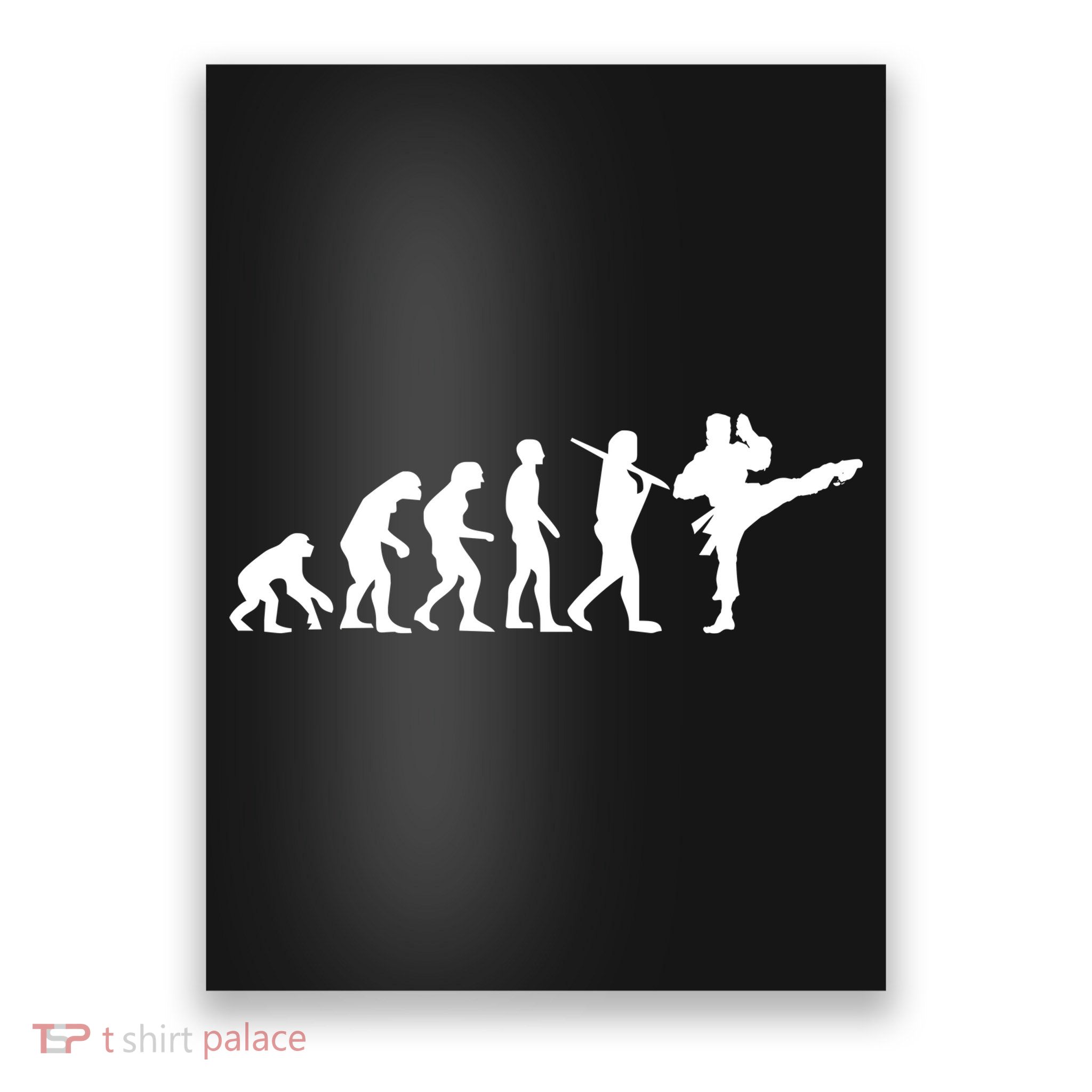 Evolution of Karate Poster