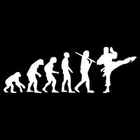 Evolution of Karate Women's Crop Top Tee