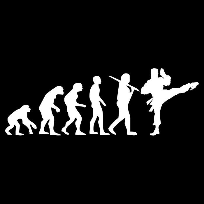 Evolution of Karate Women's Crop Top Tee