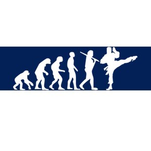 Evolution of Karate Bumper Sticker