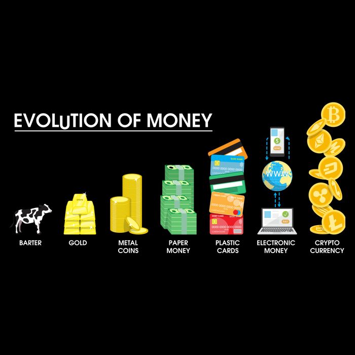 Evolution of Money Short Acrylic Beanie