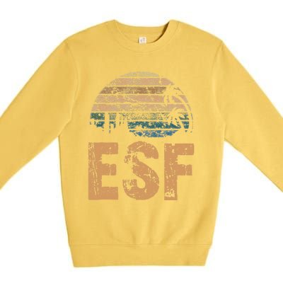 ESF Vintage Sunset Distressed Funny Premium Crewneck Sweatshirt