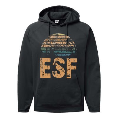 ESF Vintage Sunset Distressed Funny Performance Fleece Hoodie