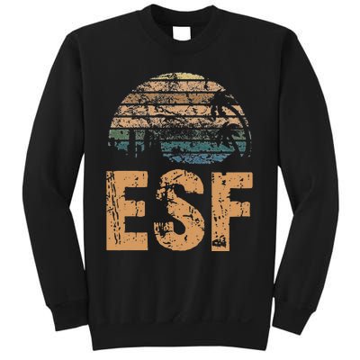 ESF Vintage Sunset Distressed Funny Sweatshirt