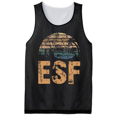 ESF Vintage Sunset Distressed Funny Mesh Reversible Basketball Jersey Tank