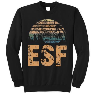 ESF Vintage Sunset Distressed Funny Tall Sweatshirt