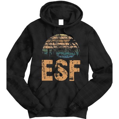 ESF Vintage Sunset Distressed Funny Tie Dye Hoodie