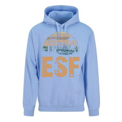 ESF Vintage Sunset Distressed Funny Unisex Surf Hoodie