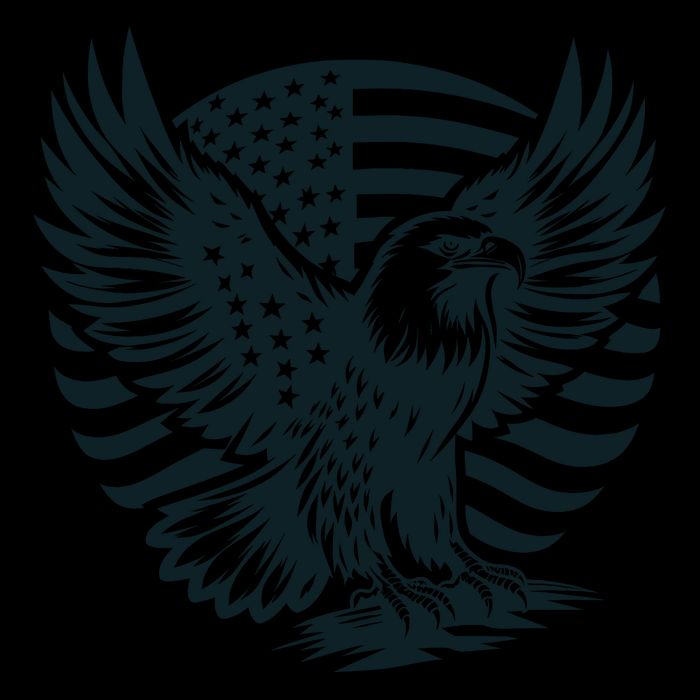Eagle With American Flag Bag