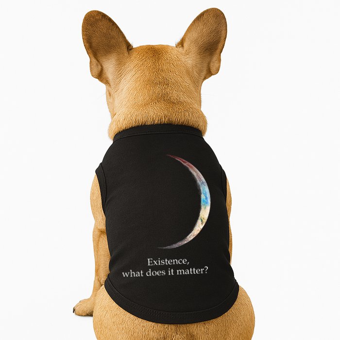 Existence What Does It Matter Astronomy Physics Doggie Tank