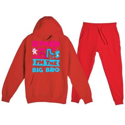 Either Way It Goes Im The Big Bro Brother Gender Reveal Premium Hooded Sweatsuit Set