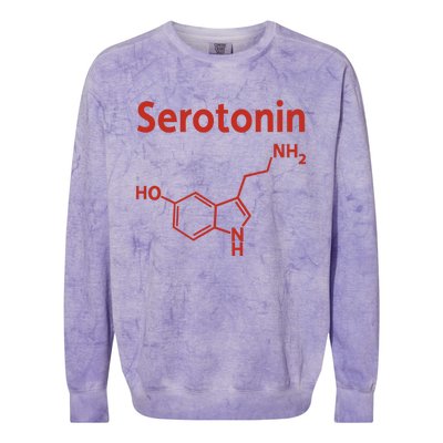 Endra Wearing Serotonin Comfy Colorblast Crewneck Sweatshirt