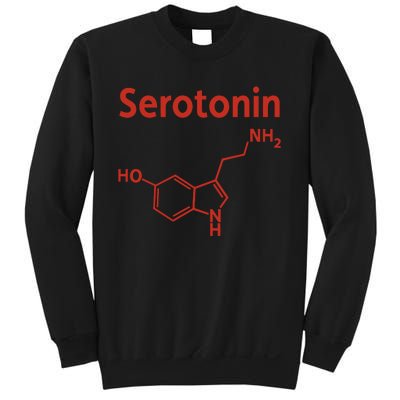 Endra Wearing Serotonin Comfy Sweatshirt