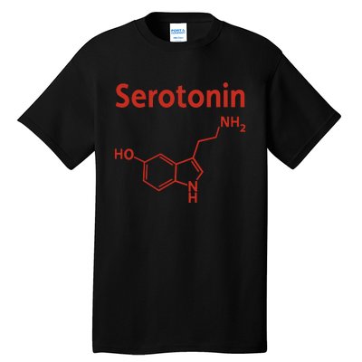 Endra Wearing Serotonin Comfy Tall T-Shirt