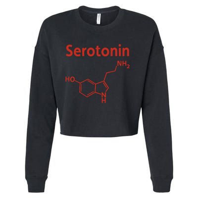 Endra Wearing Serotonin Comfy Cropped Pullover Crew