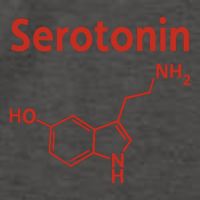 Endra Wearing Serotonin Comfy Vector Backpack