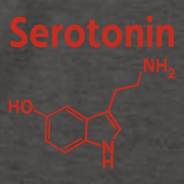 Endra Wearing Serotonin Comfy Vector Backpack