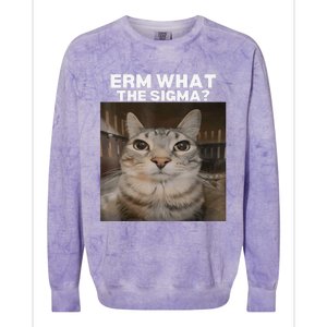 Erm What Sigma Meme Cat Meme Internet Memes Funny Meme Genz Colorblast Crewneck Sweatshirt