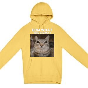 Erm What Sigma Meme Cat Meme Internet Memes Funny Meme Genz Premium Pullover Hoodie