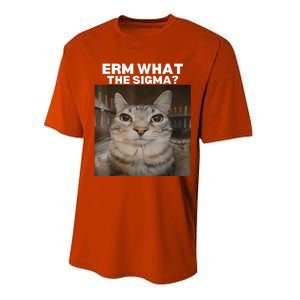 Erm What Sigma Meme Cat Meme Internet Memes Funny Meme Genz Performance Sprint T-Shirt